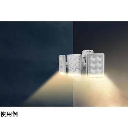 kdcZT[Cg