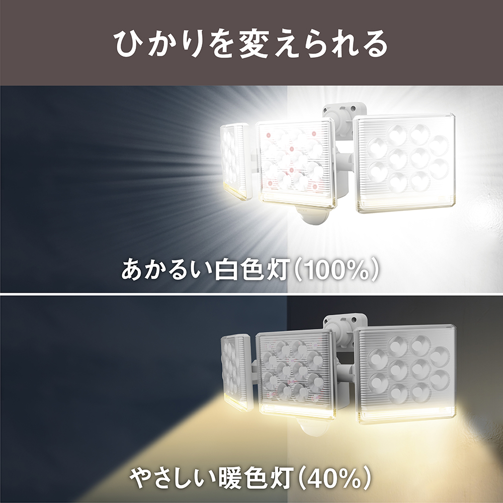 kdcZT[Cg