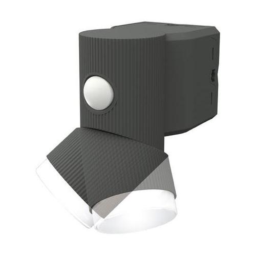 ZT[Cg