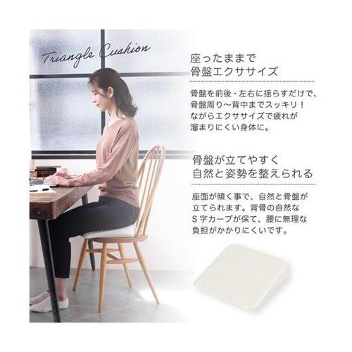 WBN127 三角クッション