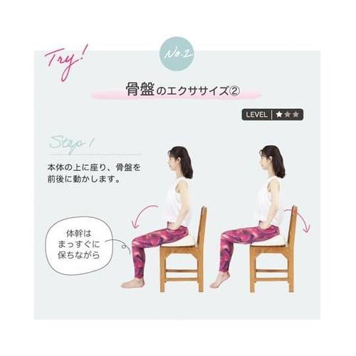 WBN127 三角クッション