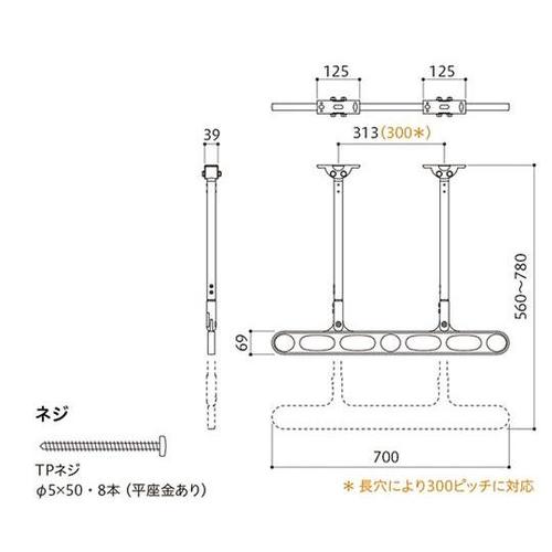 ZP−207−LB 屋外物干し金物 2本