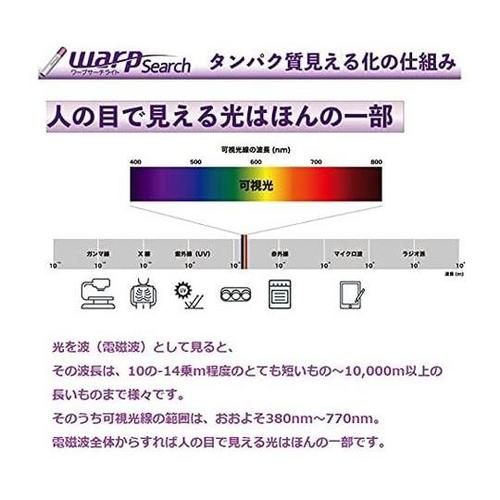 蛋白質可視化ライトWARP Search