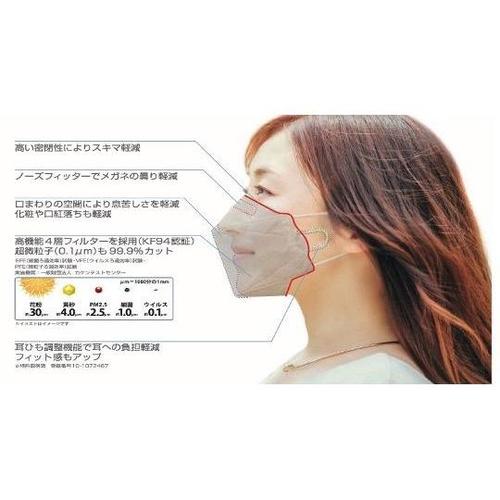 自慢のマスク 5枚×40箱入