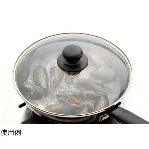 ダンチュウ 窒化鉄Fパン26cm(蓋付)