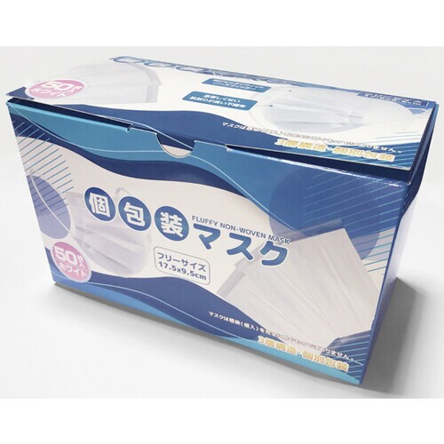 個包装マスク 50枚×40箱入 K−01