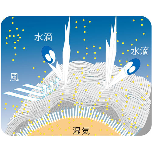 jp炢pch