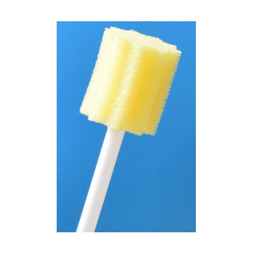 ケアポンジH プラ軸 50本×6袋入 0