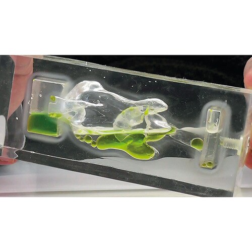 完全側臥位法の導入に役立つ支援DVD