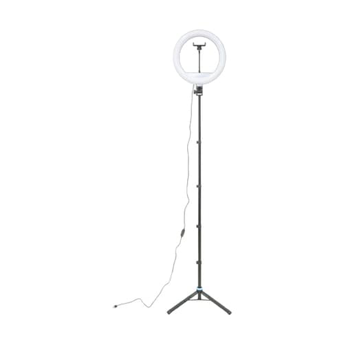 スタンドライト12