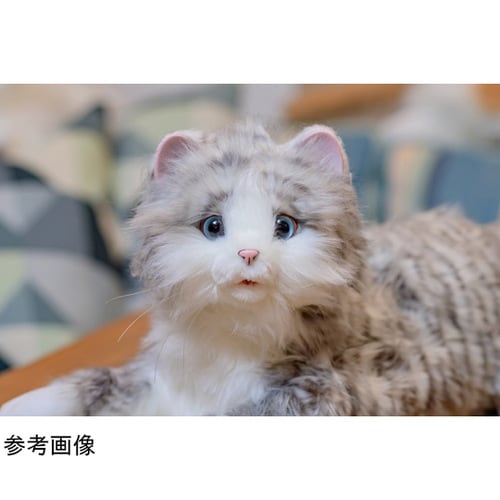 しっぽふりふりあまえんぼうねこちゃん(コ