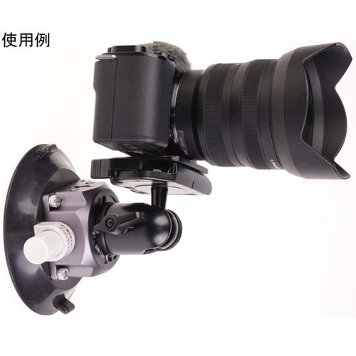 TNVx[X