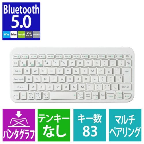 エレコムTK−TM10BPWH
