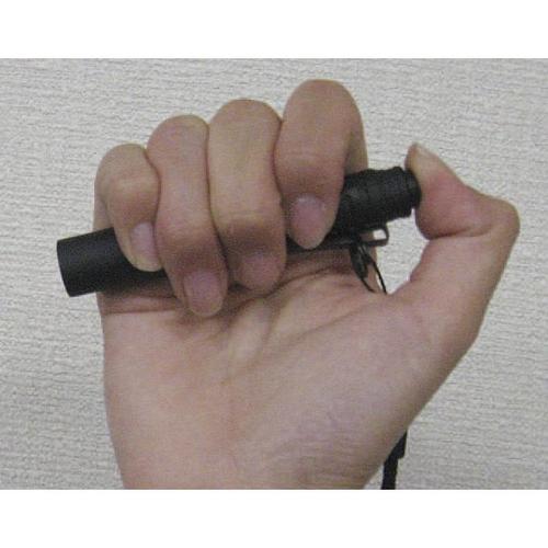 LEDコンパクトライト EA758SG−11