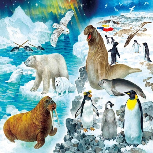 ジグソーパズル STEP4 たんけん 動物の世界