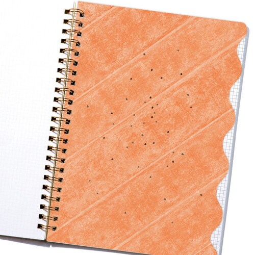 サンドイッチ リングノートA5サーモン&レモン×2