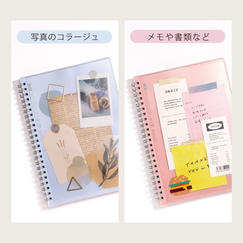 カダケス パスケース ディープブルー 2個入