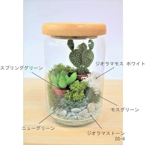 ジオラマモス ニューグリーン 5個入
