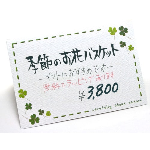 ショーカード はがきサイズ クローバー 5冊入