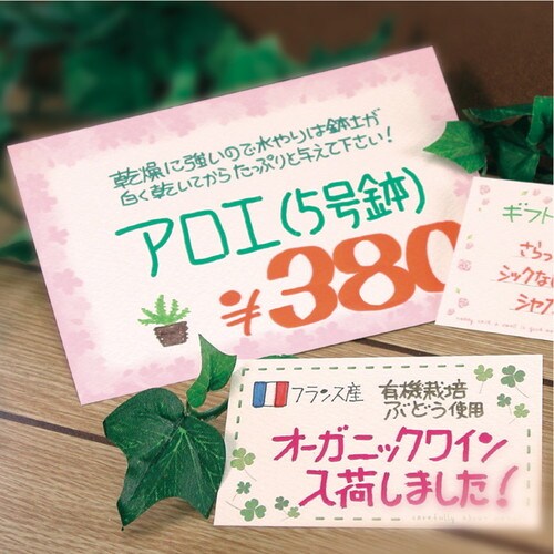 ショーカード はがきサイズ 花枠 5冊入