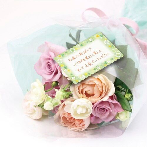 ファンタジーカード ラッキートレフル 5冊入