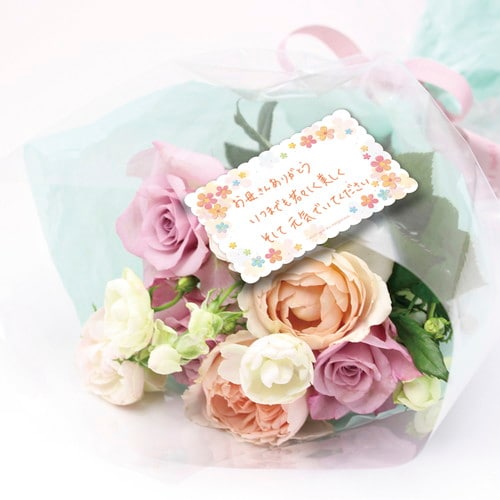 ファンタジーカード ミニョン 5冊入