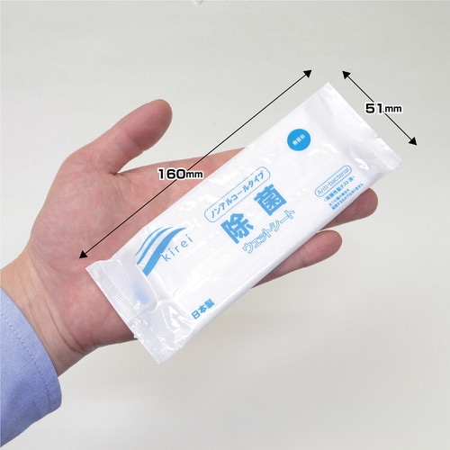 除菌ウェットシート 10袋入