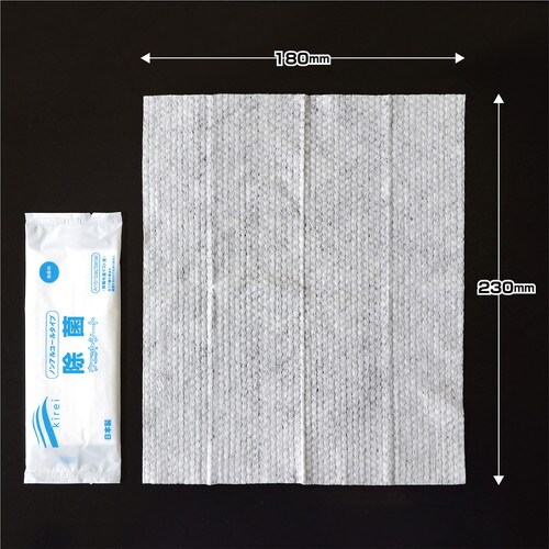 除菌ウェットシート 10袋入