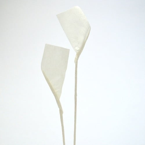 耳付こより 1000本入