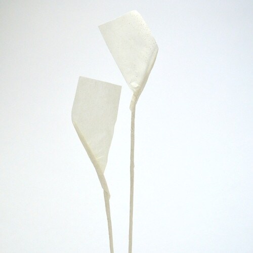 耳付こより 100本入