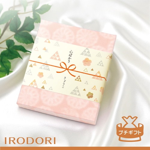 のしノート パール 大 IRODORI 5冊入