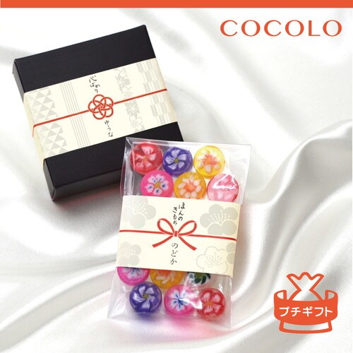 のしノート パール 小 COCOLO 5冊入