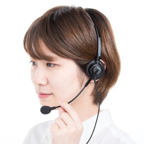 ガイドシステム用ヘッドセット