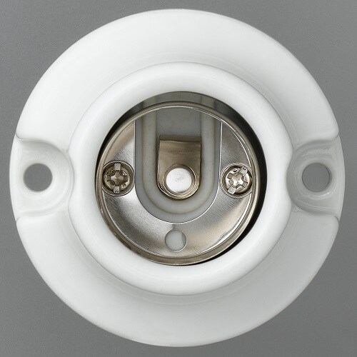 オール磁器レセップ磁器製