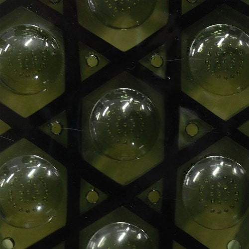 .Botanico マルチサンダルオリーブ