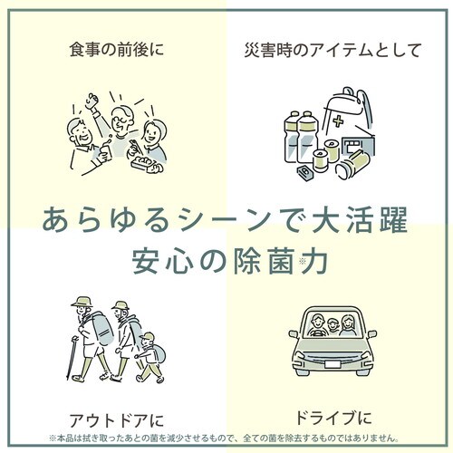除菌ウェットティッシュ10枚×100個