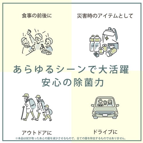 ノンアルコール除菌ウェット10枚×100個
