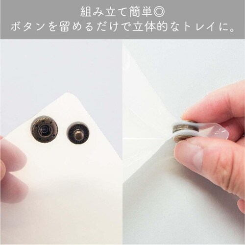 マルチトレイ ミッフィー シカク