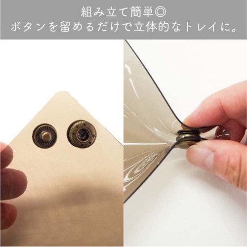 マルチトレイ ボリス シカク