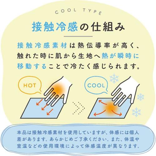 冷感 トイレマット しろくまブルー