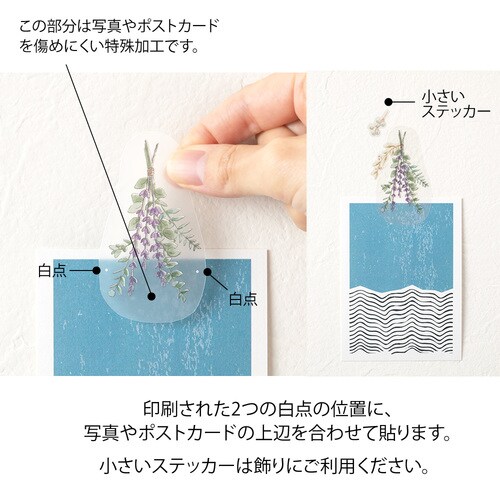 クリップステッカー ドライフラワー柄 5セット