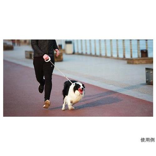 「GO」スマート・ペットリード (衝撃吸