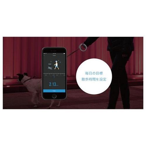 「GO」スマート・ペットリード (衝撃吸