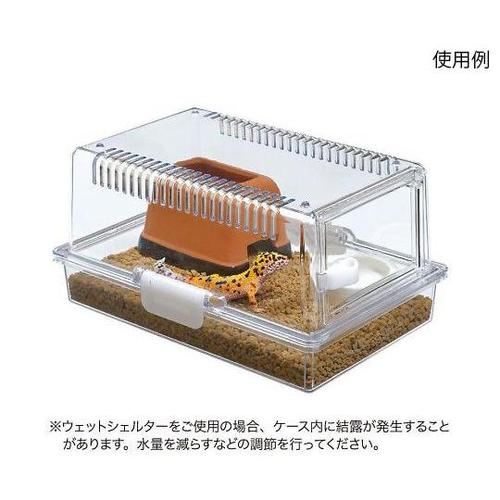 レプティギア 300