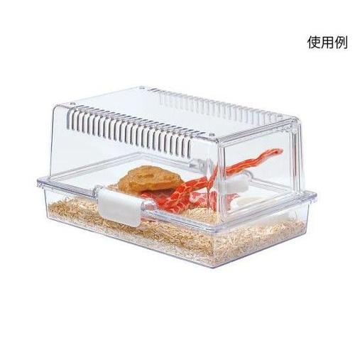 レプティギア 300