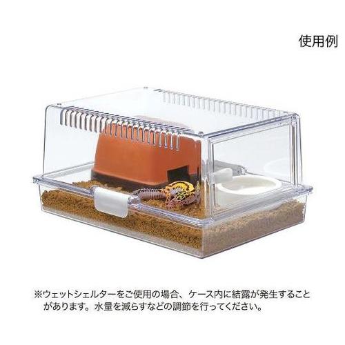 レプティギア 365