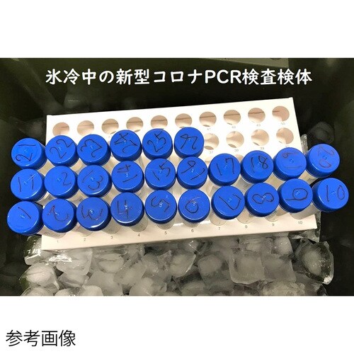 紙製試験管立て 5セット入