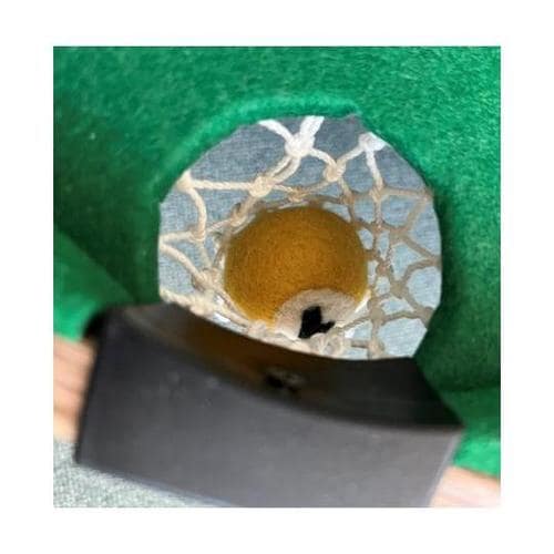 猫ちゃんのおもちゃ ビリにゃからド