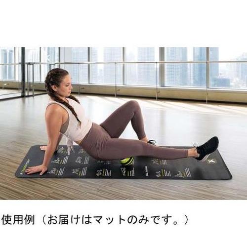 モビリティーマット 22130