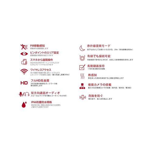 ネットワークカメラレコーダーセット JA